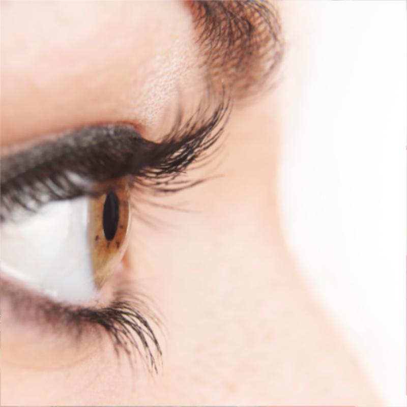 The Lash Studio at Aria Cape Coral, Florida